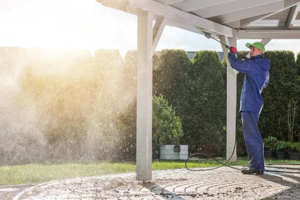 Solar Panel Cleaning in La Monte, MO
